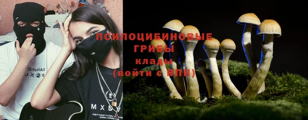 крисы Абинск