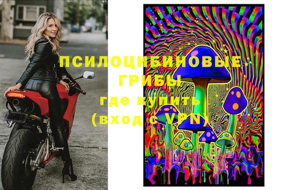 МДПВ Абдулино