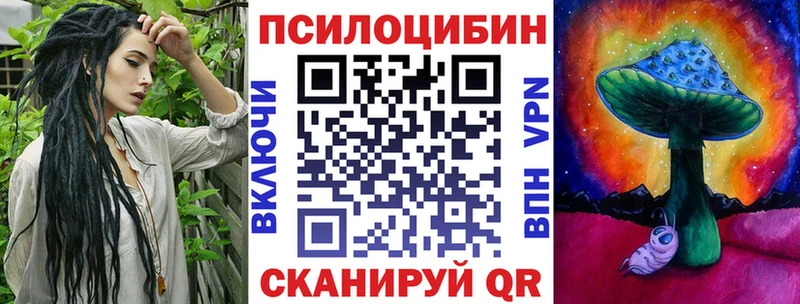Псилоцибиновые грибы Psilocybe Ялта